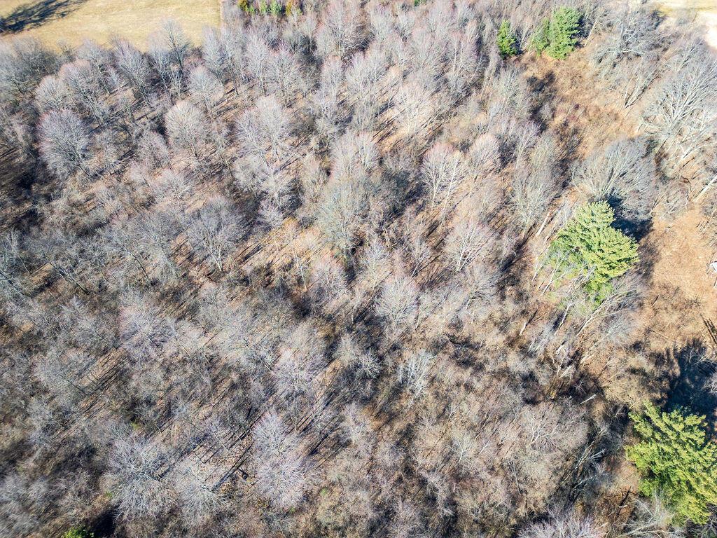 5089 Township Road 187, Marengo, Ohio image 13