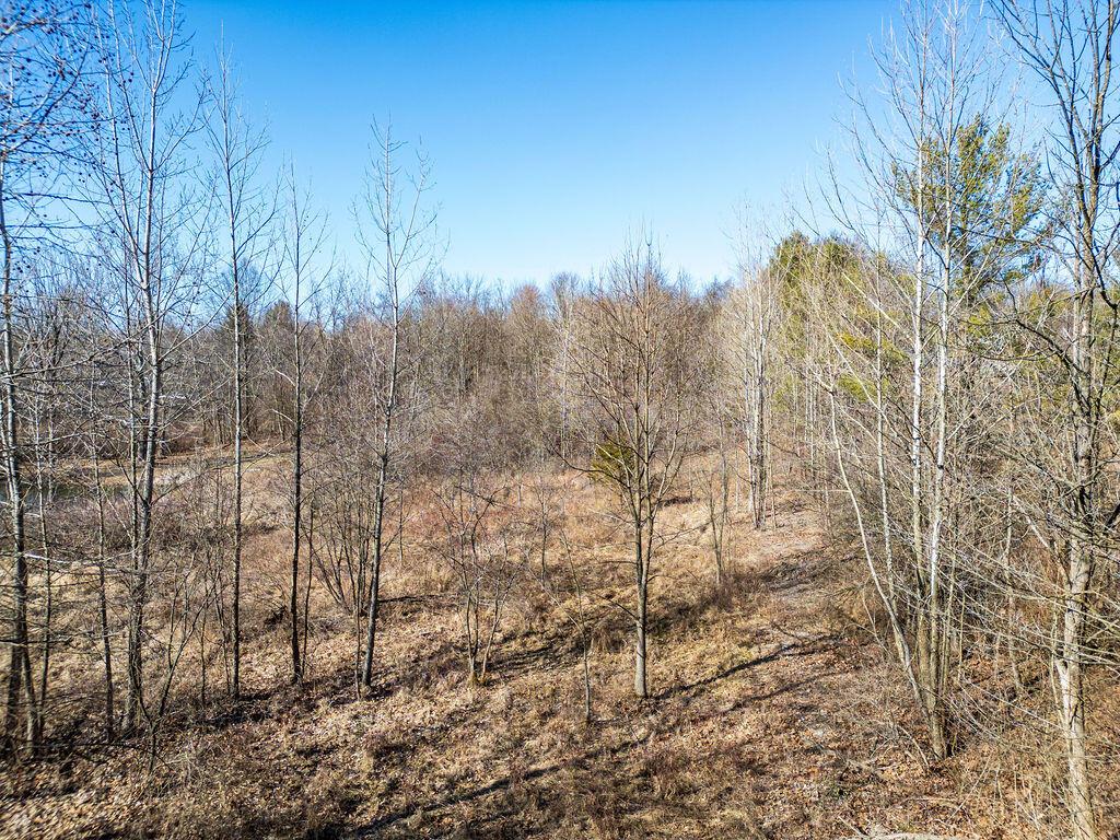 5089 Township Road 187, Marengo, Ohio image 10