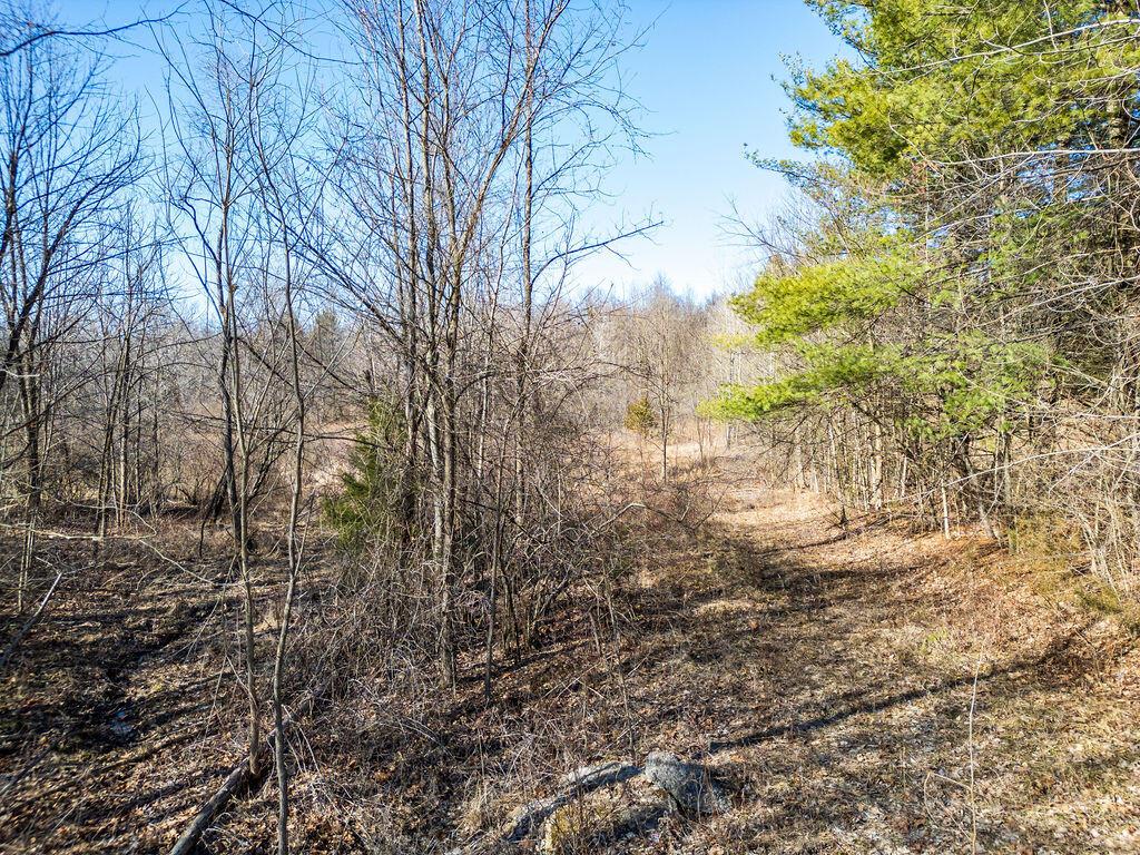 5089 Township Road 187, Marengo, Ohio image 9