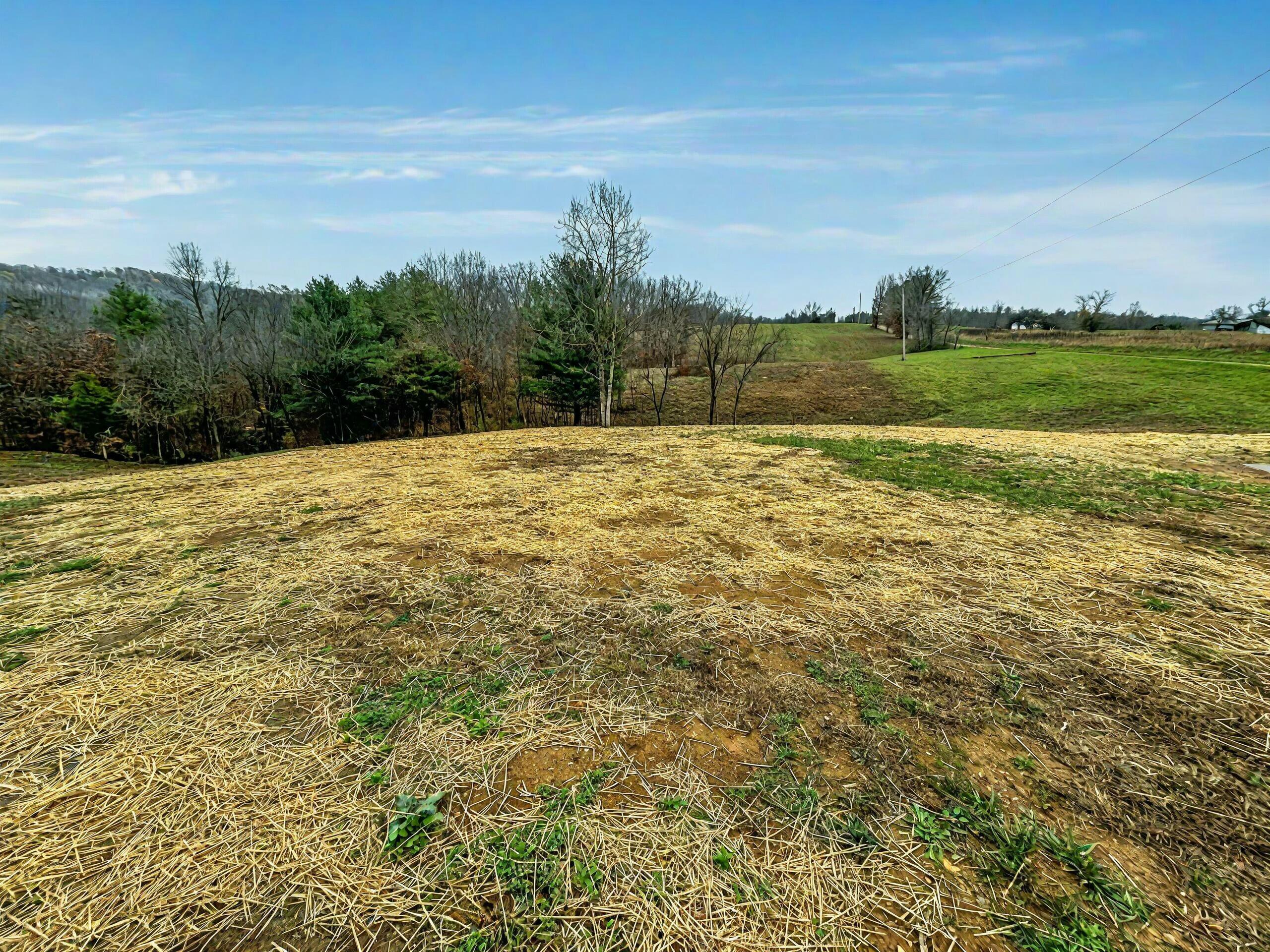 8420 Cox Kolbe Road, Glouster, Ohio image 6