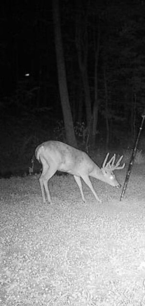 Tiny photo for 18999 River Road, Athens, OH 45701 (MLS # 225045151)