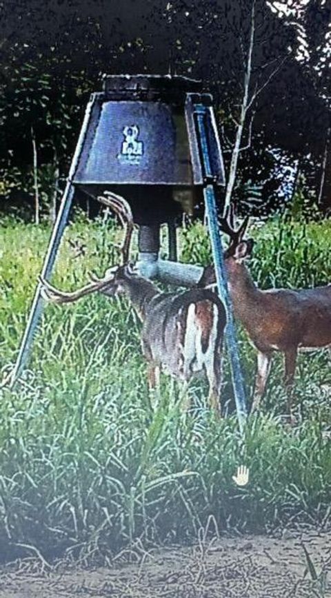 Tiny photo for 18999 River Road, Athens, OH 45701 (MLS # 225045151)