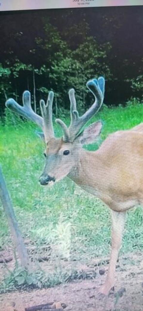 Tiny photo for 18999 River Road, Athens, OH 45701 (MLS # 225045151)