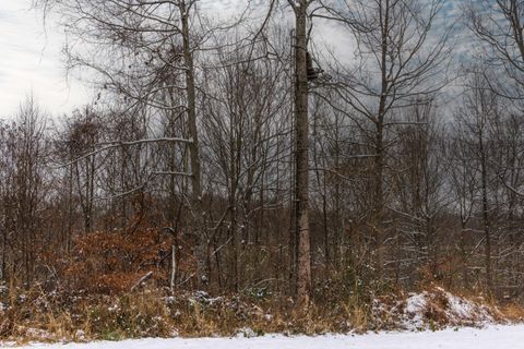 Tiny photo for 18999 River Road, Athens, OH 45701 (MLS # 225045151)