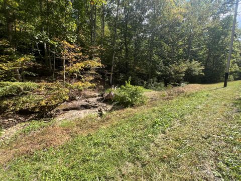 Photo of 0 Goose Creek Road, South Bloomingville, OH 43152 (MLS # 226006912)