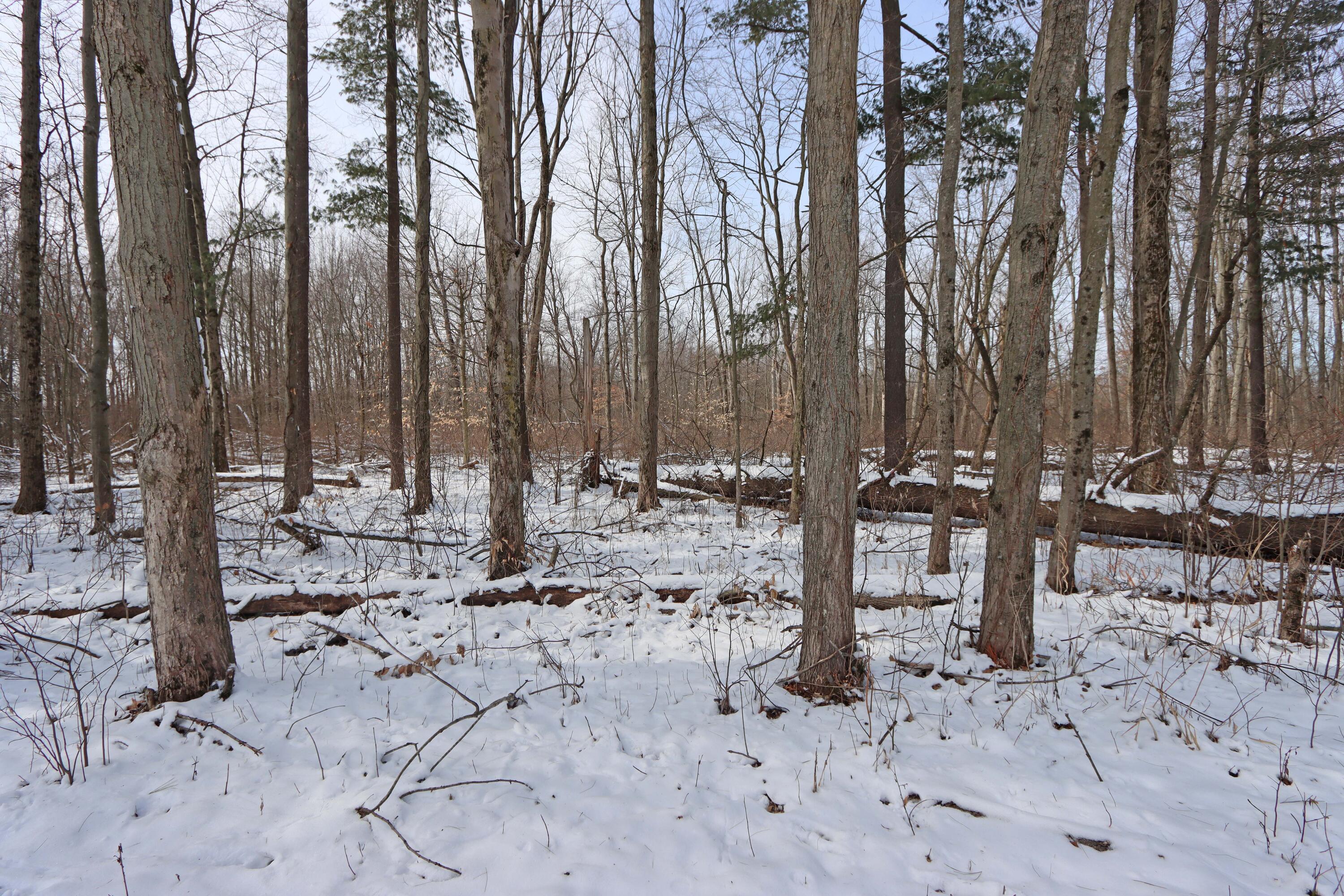143 Old Bay Drive, Pataskala, Ohio image 45