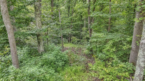 Tiny photo for 57859 N Branch Road, South Bloomingville, OH 43152 (MLS # 226031816)