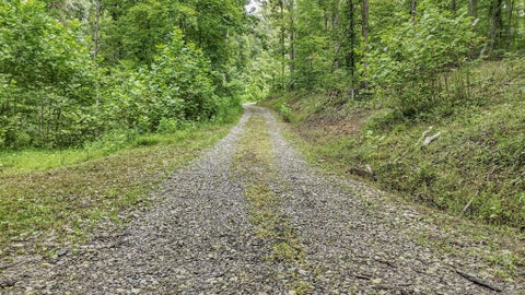 Tiny photo for 57859 N Branch Road, South Bloomingville, OH 43152 (MLS # 226031816)
