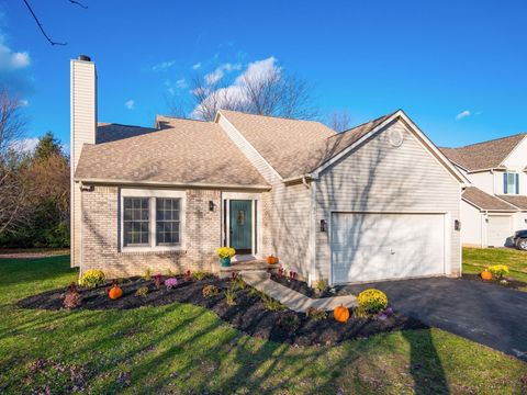Photo of 341 Pecan Court, Delaware, OH 43015 (MLS # 225044033)