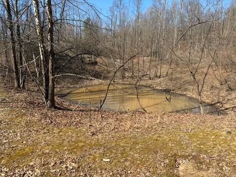 Tiny photo for 6410 Smith Run Road, Glouster, OH 45732 (MLS # 226008148)