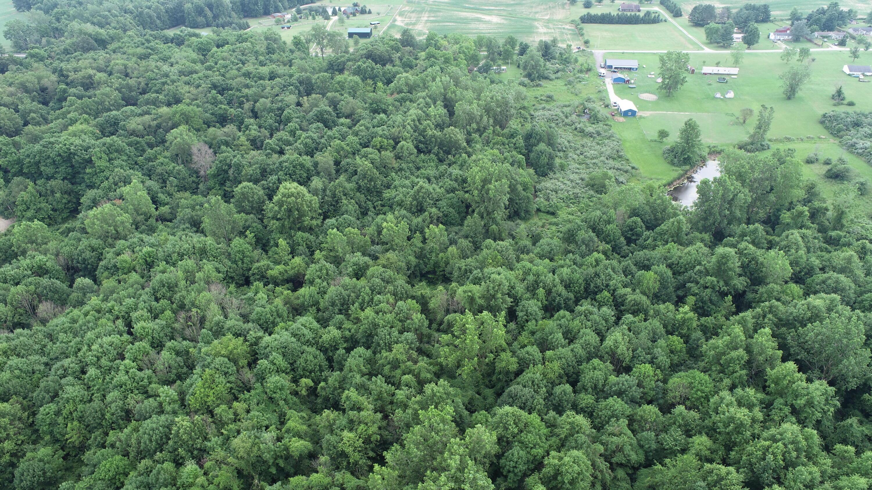 4077 Twp Rd 51, Galion, Ohio image 9