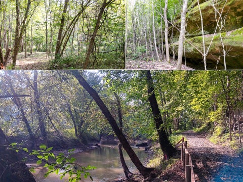 Photo of 71547 Cottrill Road (Wooded Retreat) #(Wooded Retreat), Wilkesville, OH 45695 (MLS # 226038573)