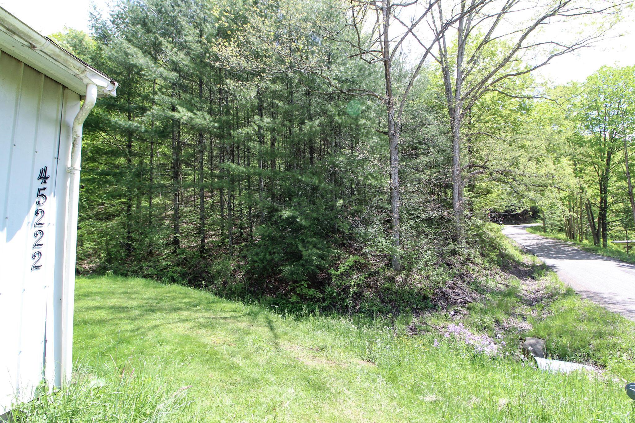 45222 Benwood Road, Sardis, Ohio image 13