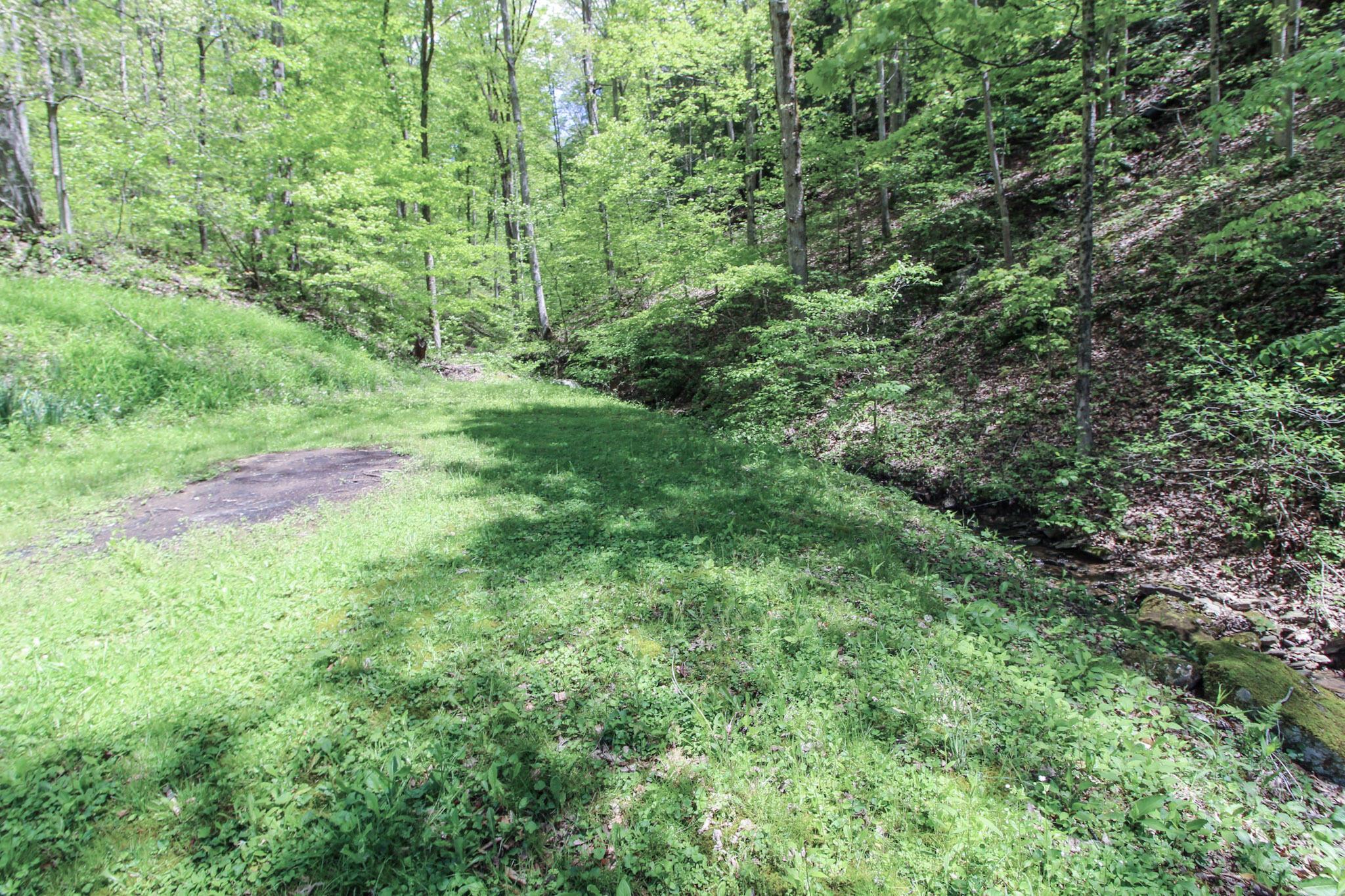 45222 Benwood Road, Sardis, Ohio image 29