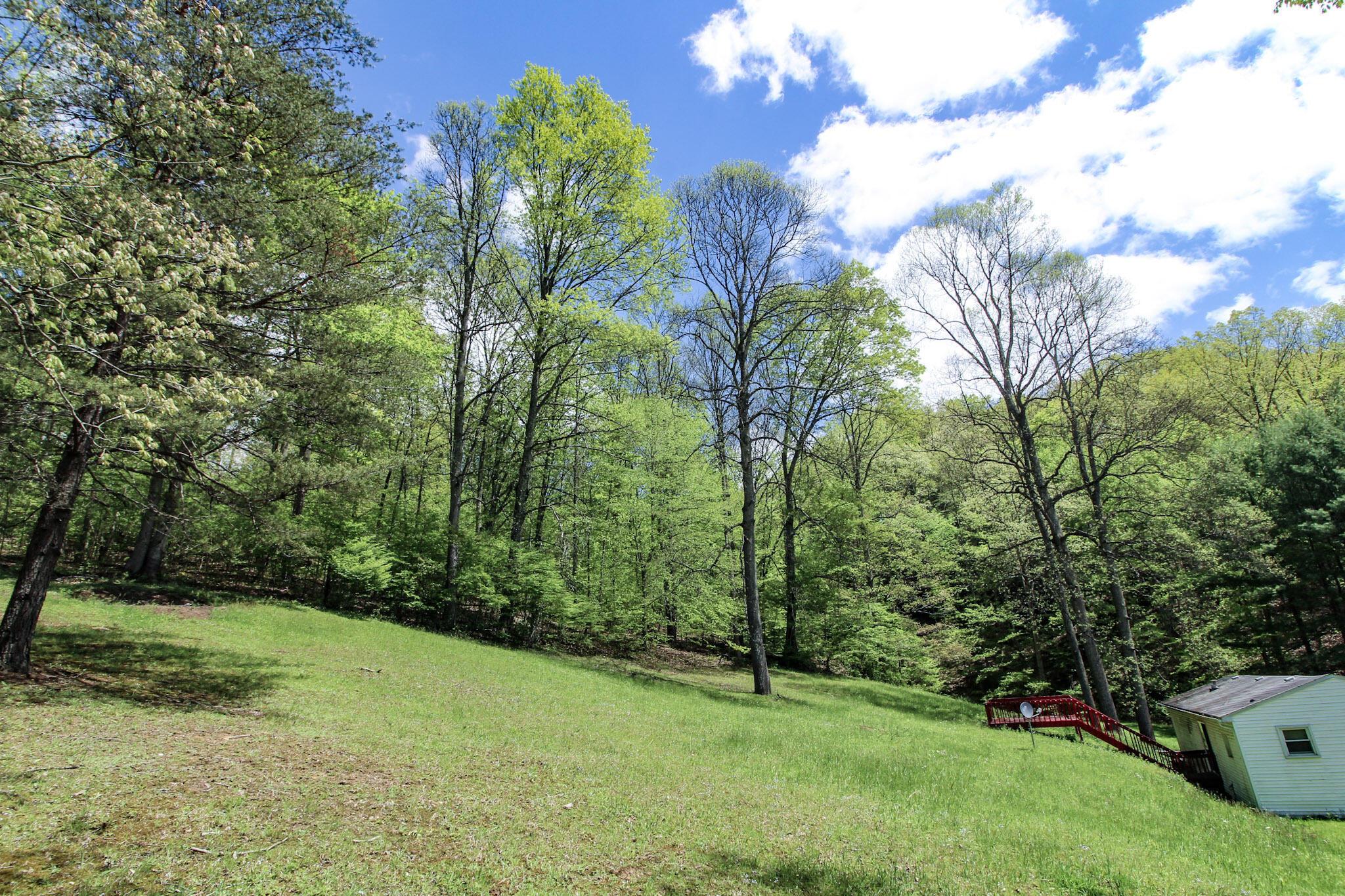 45222 Benwood Road, Sardis, Ohio image 31
