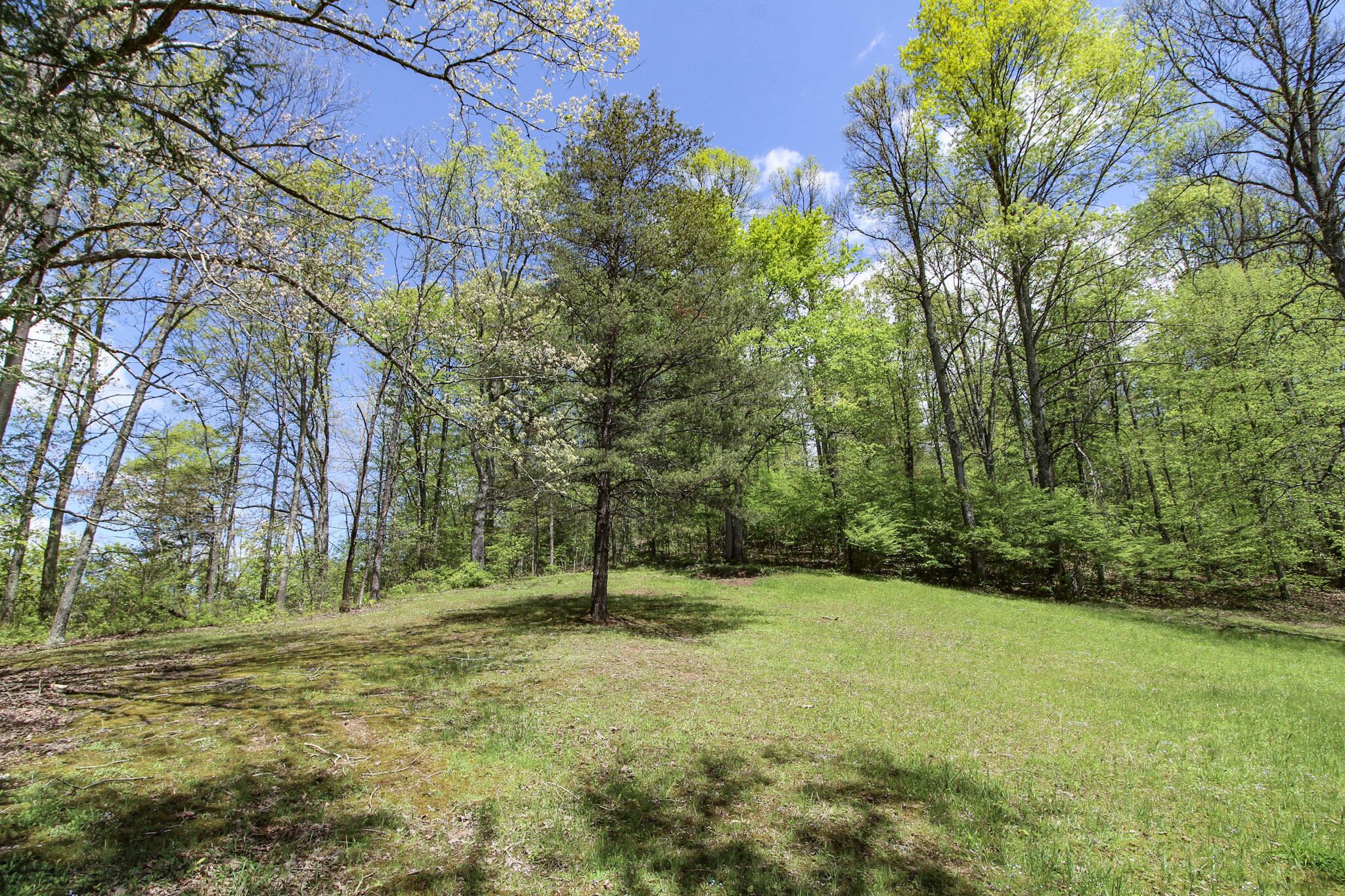 45222 Benwood Road, Sardis, Ohio image 30