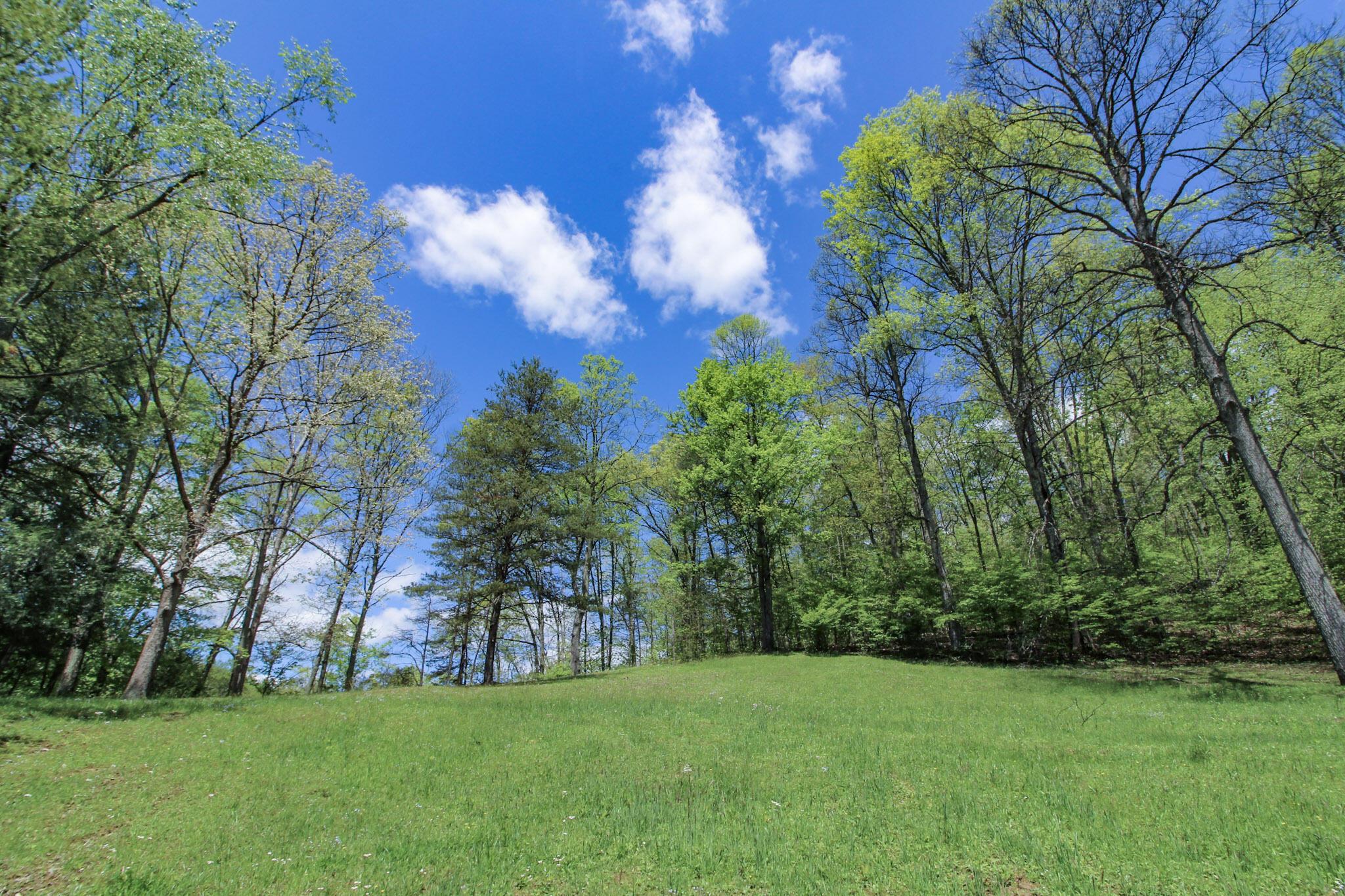 45222 Benwood Road, Sardis, Ohio image 11