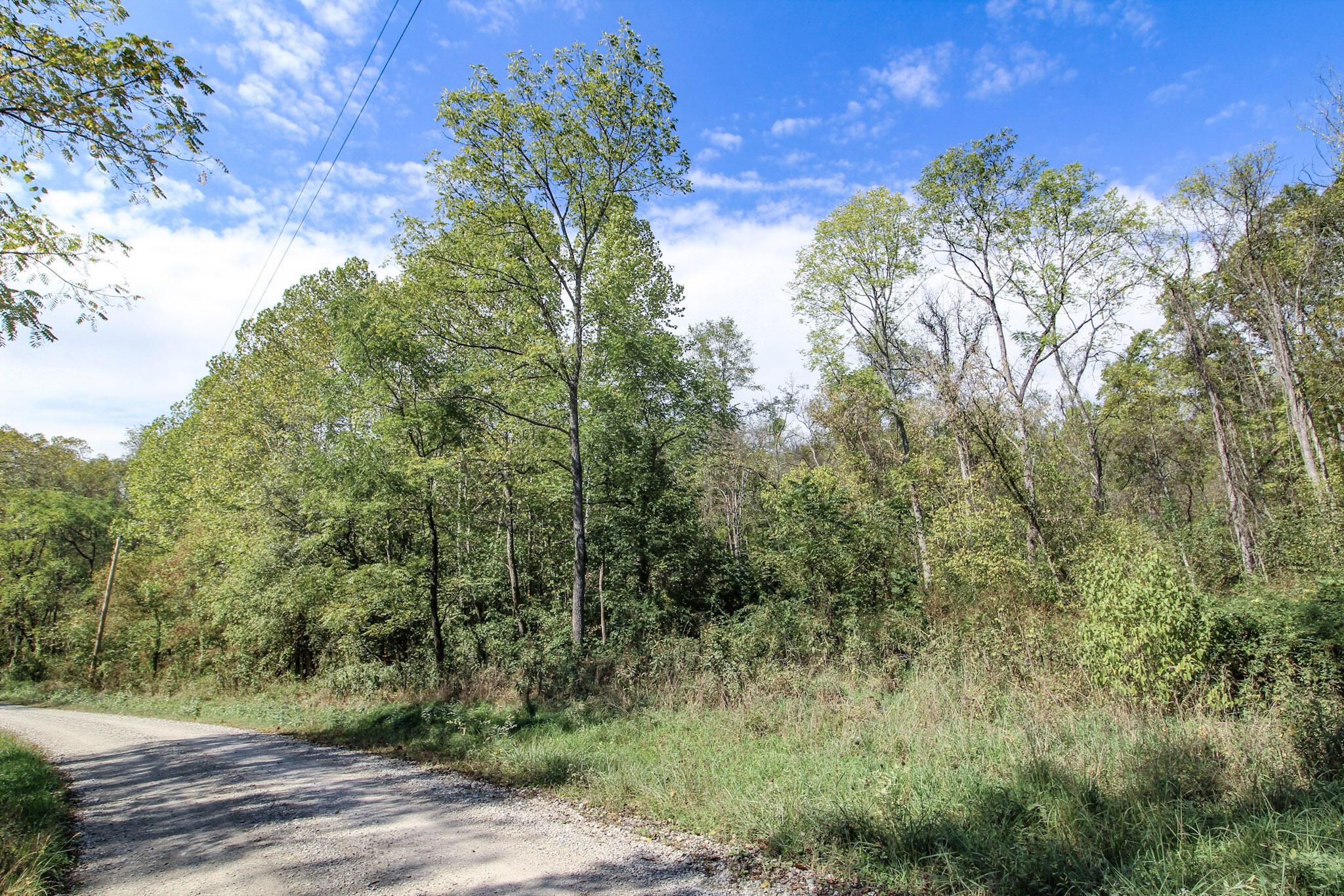 Lot 4 Brooks Road, Marietta, Ohio image 6