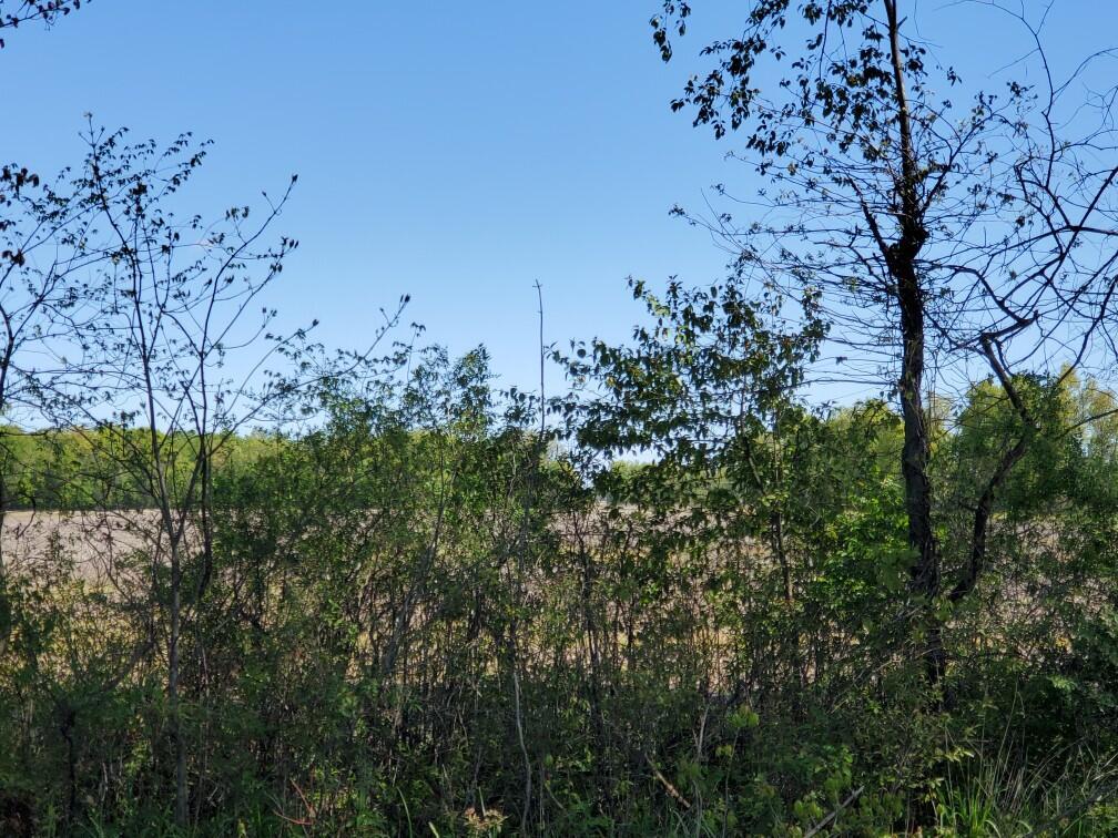Woodtown Road #TRACT 6, Galena, Ohio image 5