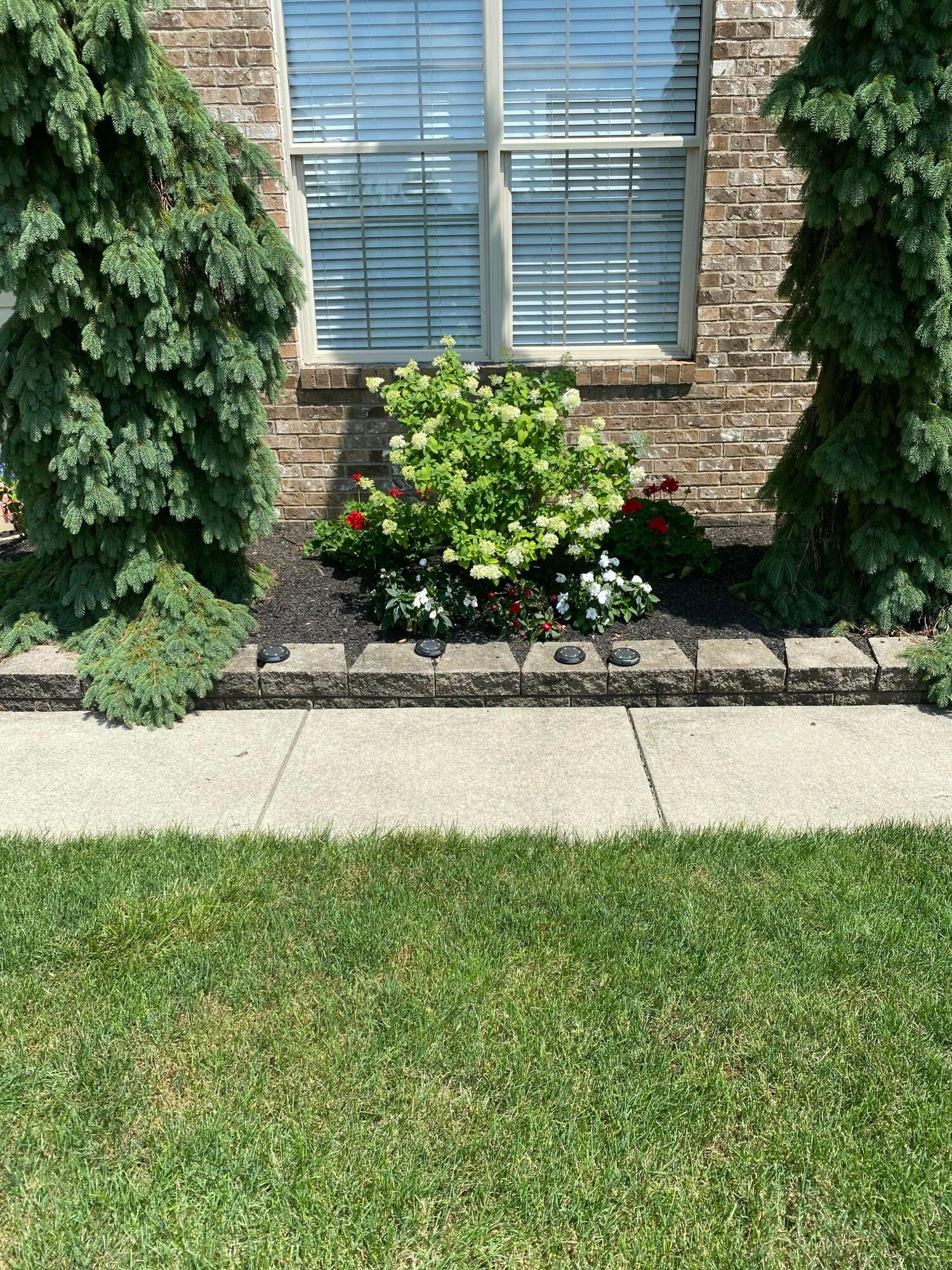 7799 Manorgate Street, Lewis Center, Ohio image 43