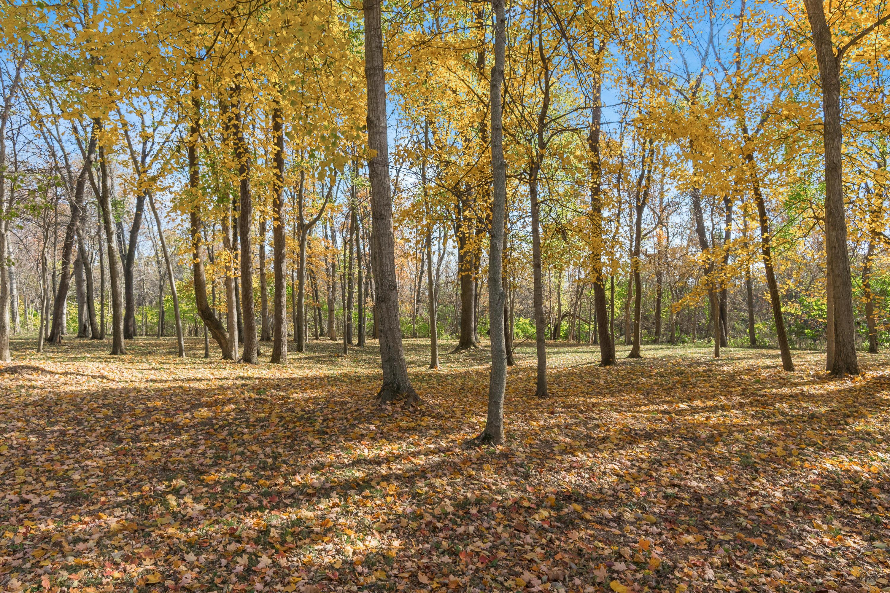10492 Allen Road, Pickerington, Ohio image 33