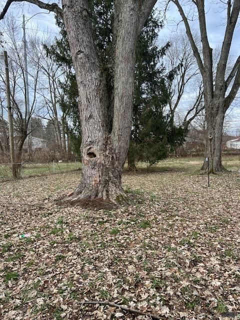 Tiny photo for 1559 Vilardo Lane, Columbus, OH 43227 (MLS # 225045878)