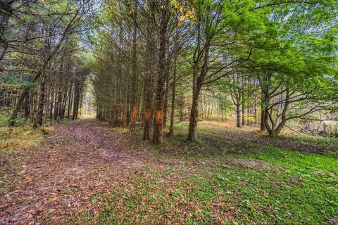 Tiny photo for 22390 State Route 56, South Bloomingville, OH 43152 (MLS # 226037127)