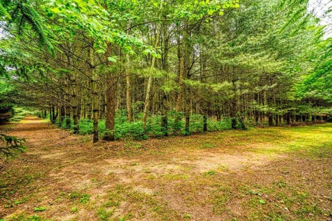 Tiny photo for 22390 State Route 56, South Bloomingville, OH 43152 (MLS # 226037127)