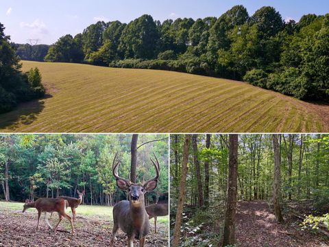 Photo of 0 Wolf Hill Road (Tract 7 Wolf Hill) #(Tract 7 Wolf Hill), McArthur, OH 45651 (MLS # 225036225) Photo of 0 Wolf Hill Road (Tract 7 Wolf Hill) #(Tract 7 Wolf Hill), McArthur, OH 45651 (MLS # 225036225)