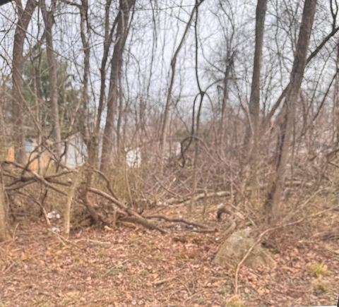 Photo of 0 King Road NE 0461039700 #0461039700, Thornville, OH 43076 (MLS # 226011043)