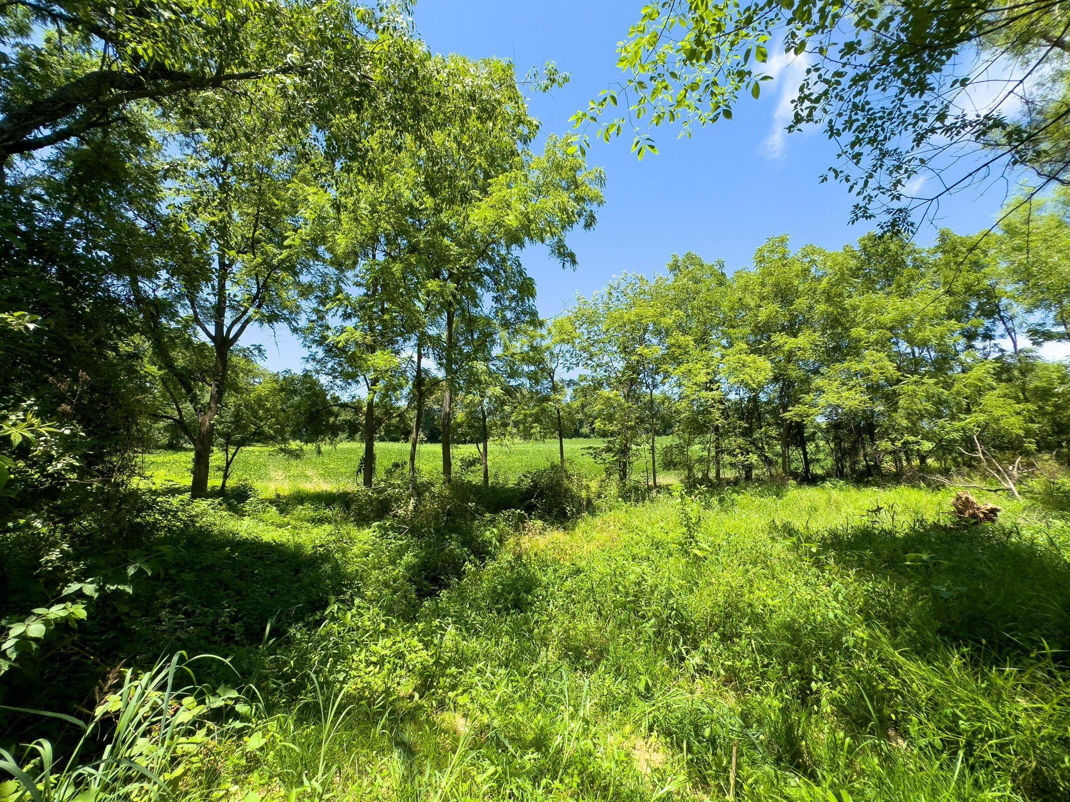 Trapp Lane, Hopewell, Ohio image 5