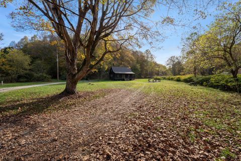 Tiny photo for 24054 Blue Creek Road, South Bloomingville, OH 43152 (MLS # 225039681)