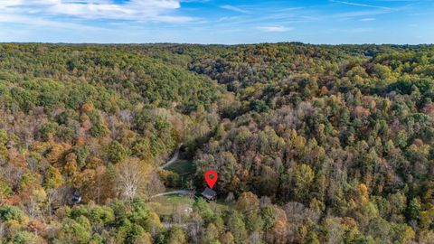 Tiny photo for 24054 Blue Creek Road, South Bloomingville, OH 43152 (MLS # 225039681)
