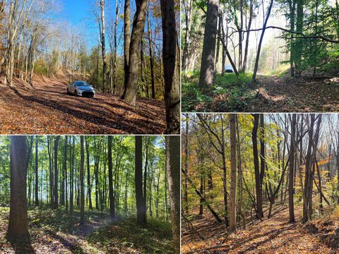 Photo of 871 Poplar Ridge Road (Ponds Poplar Ridge Tract 13) #(Ponds Poplar Ridge, Gallipolis, OH 45631 (MLS # 225046381)