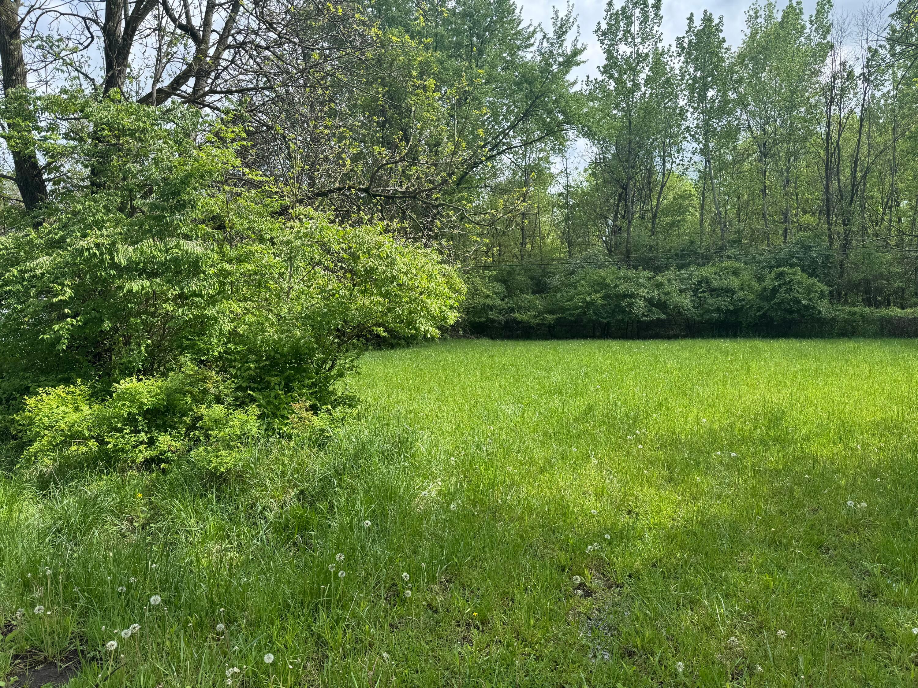 Melrose Avenue #LOT 119, Columbus, Ohio image 3