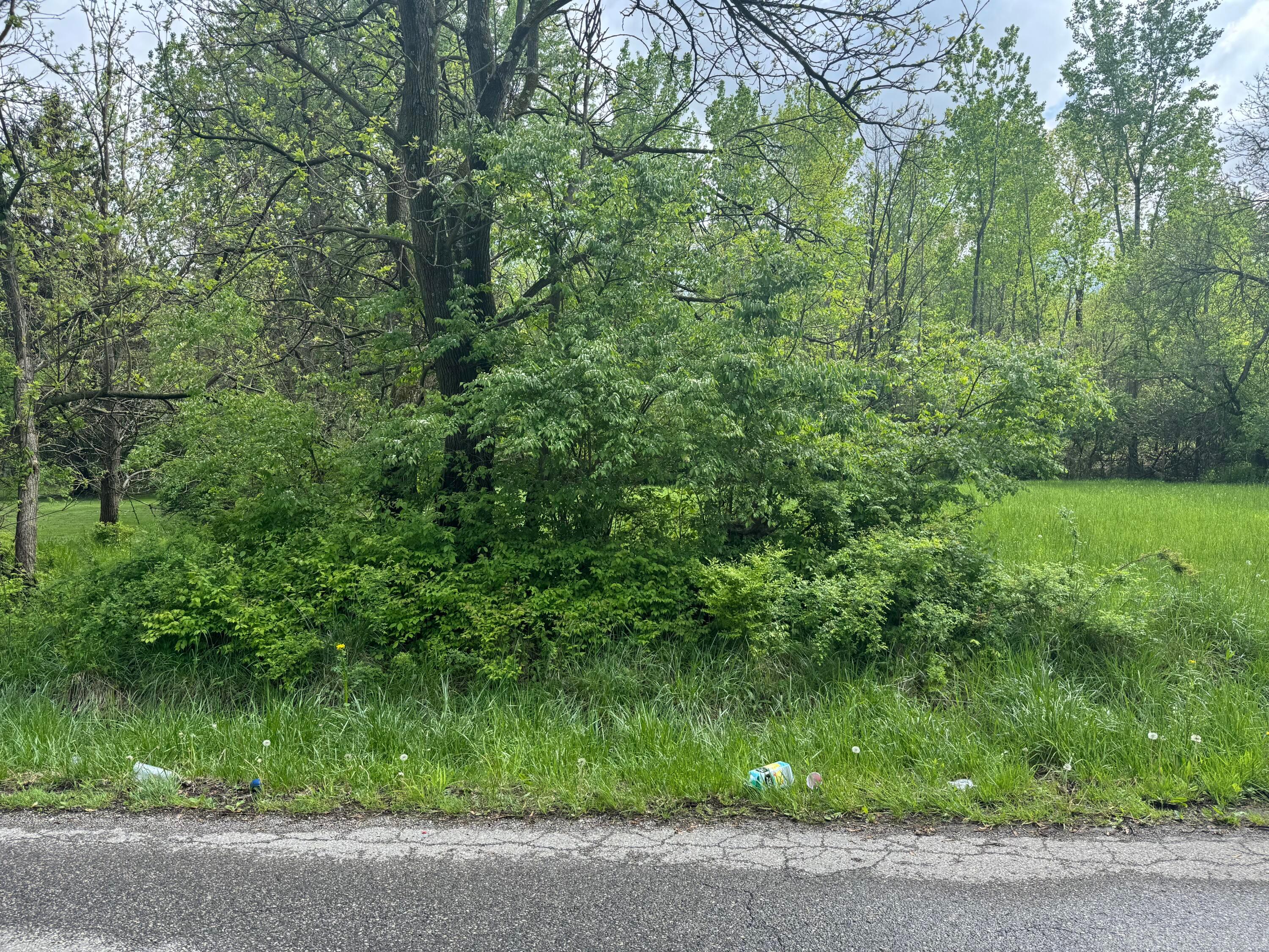 Melrose Avenue #LOT 119, Columbus, Ohio image 1