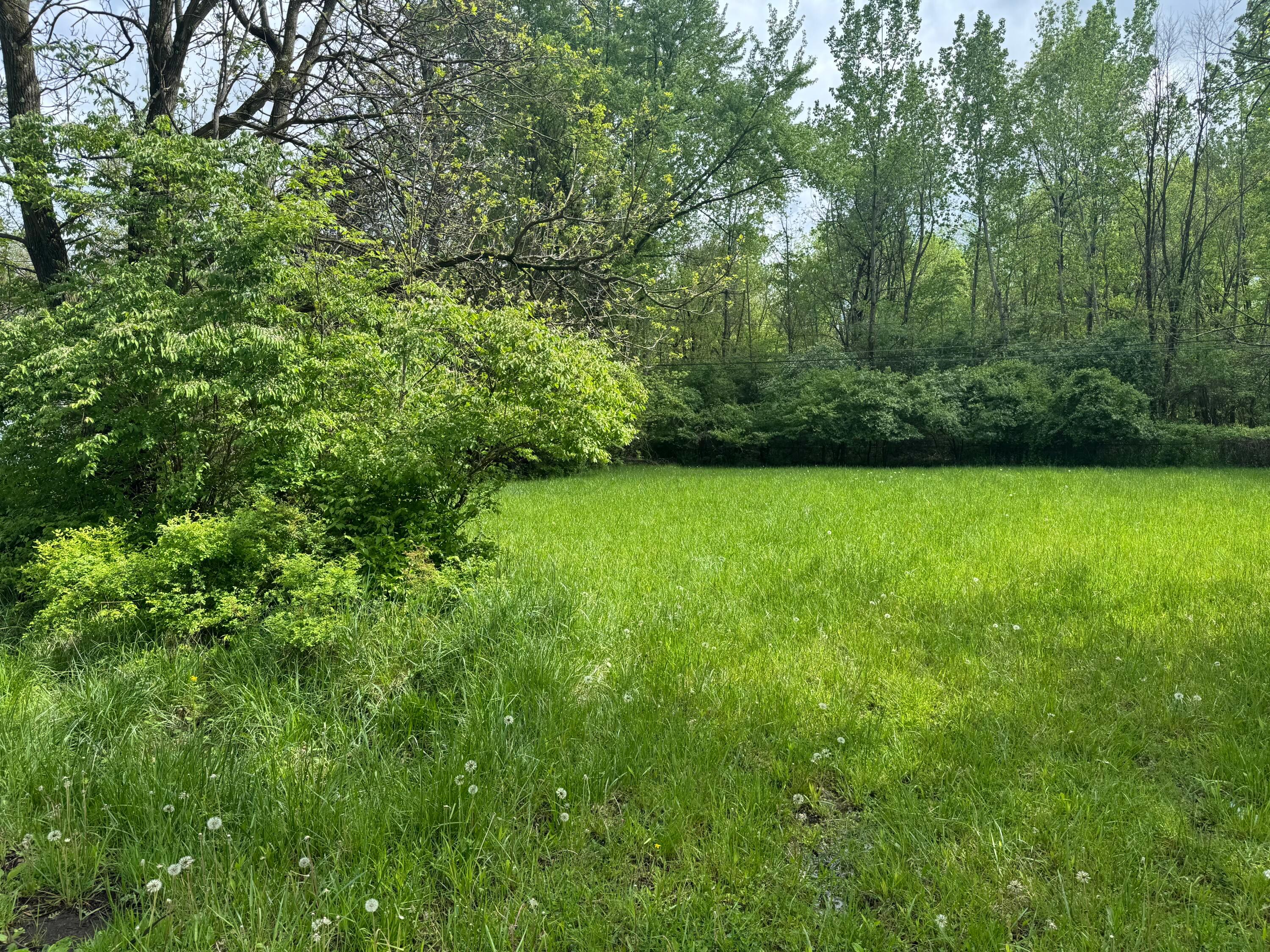 Melrose Avenue #LOT 119, Columbus, Ohio image 2
