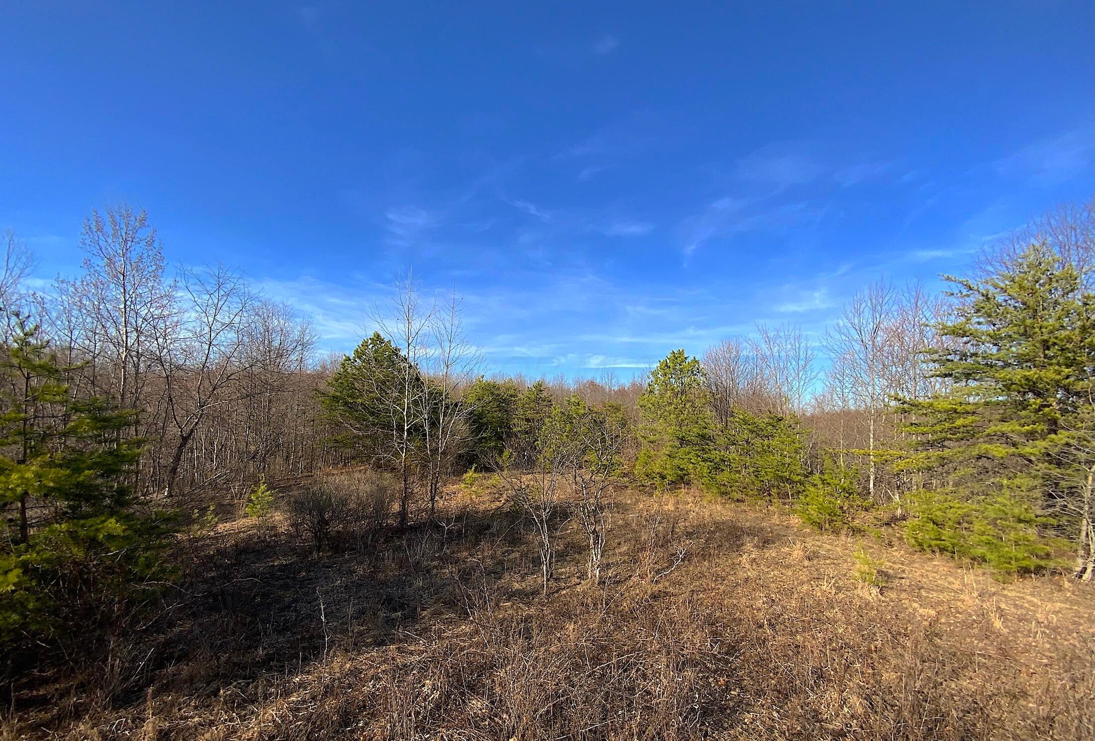 Kelly Road, Ray, Ohio image 43