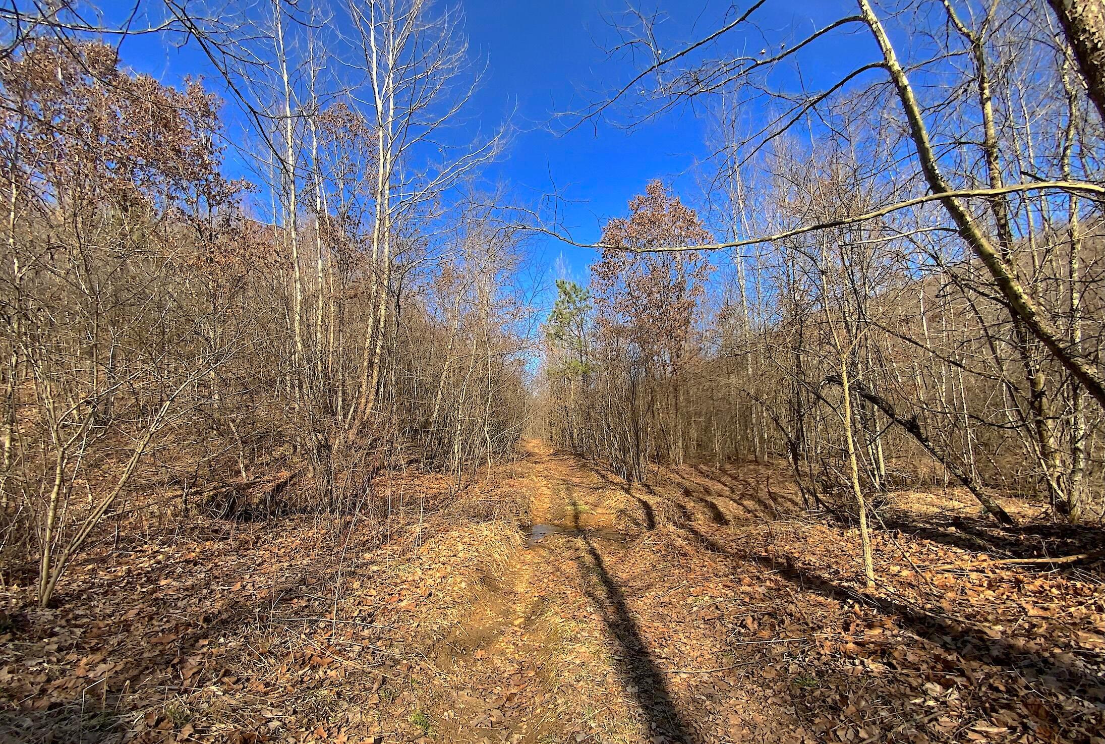 Kelly Road, Ray, Ohio image 25