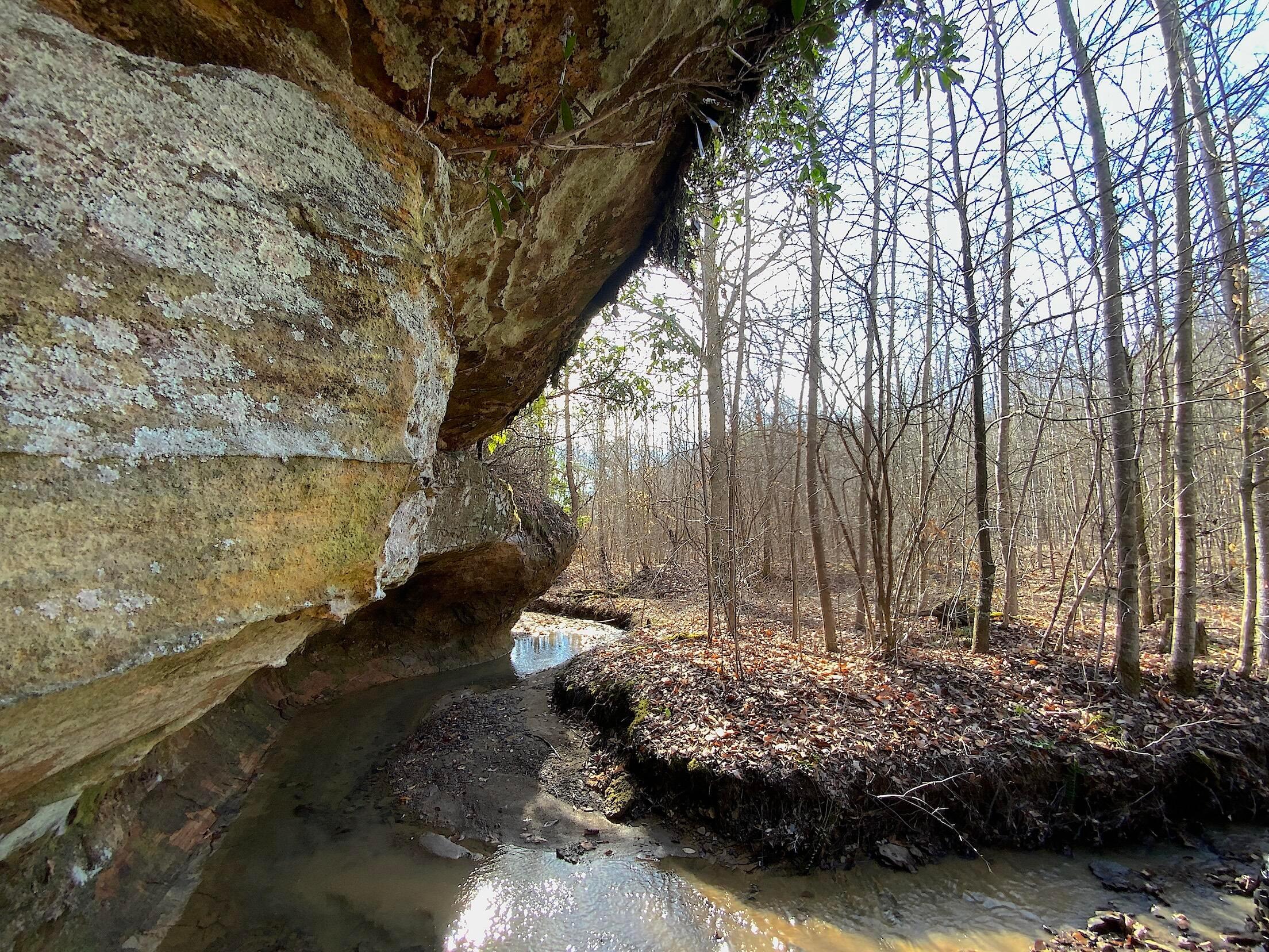 Kelly Road, Ray, Ohio image 36