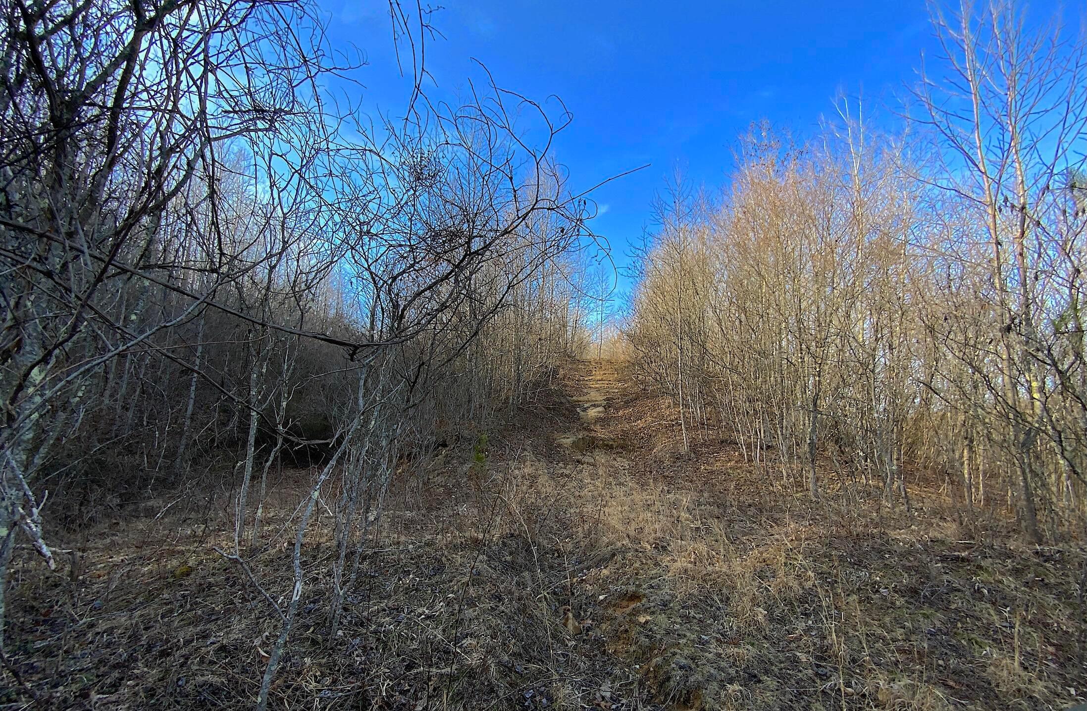Kelly Road, Ray, Ohio image 39