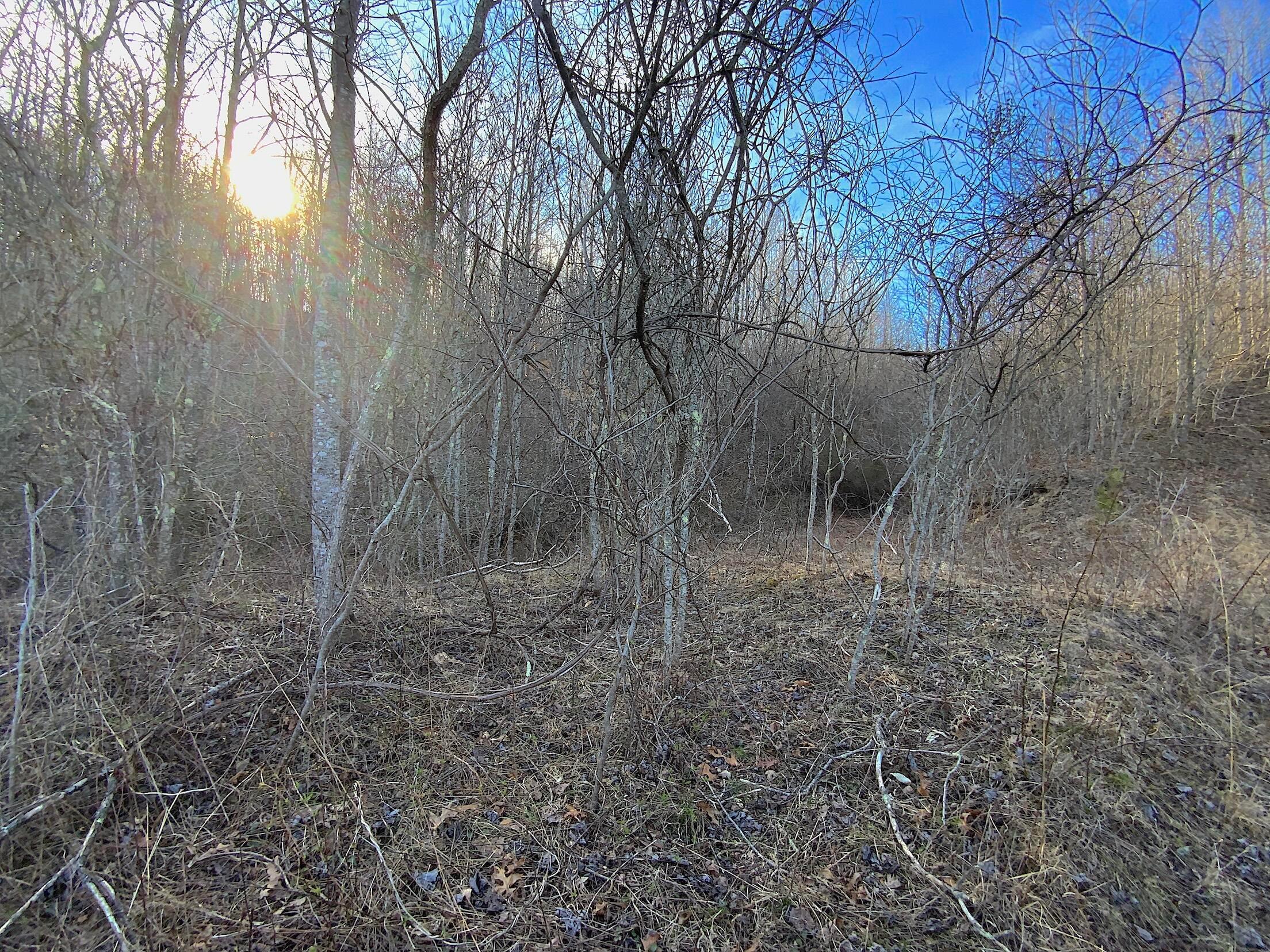 Kelly Road, Ray, Ohio image 40