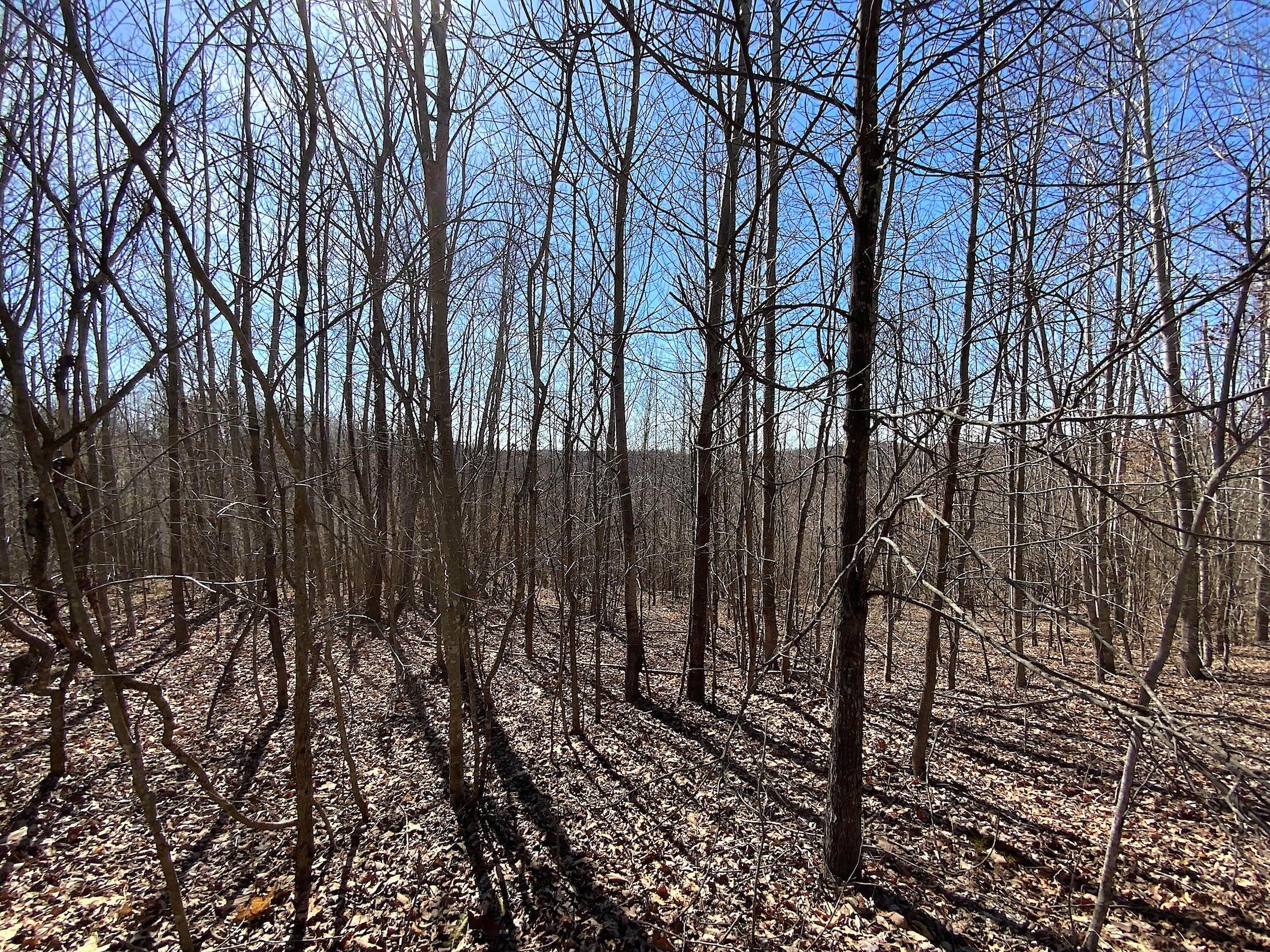 Kelly Road, Ray, Ohio image 4