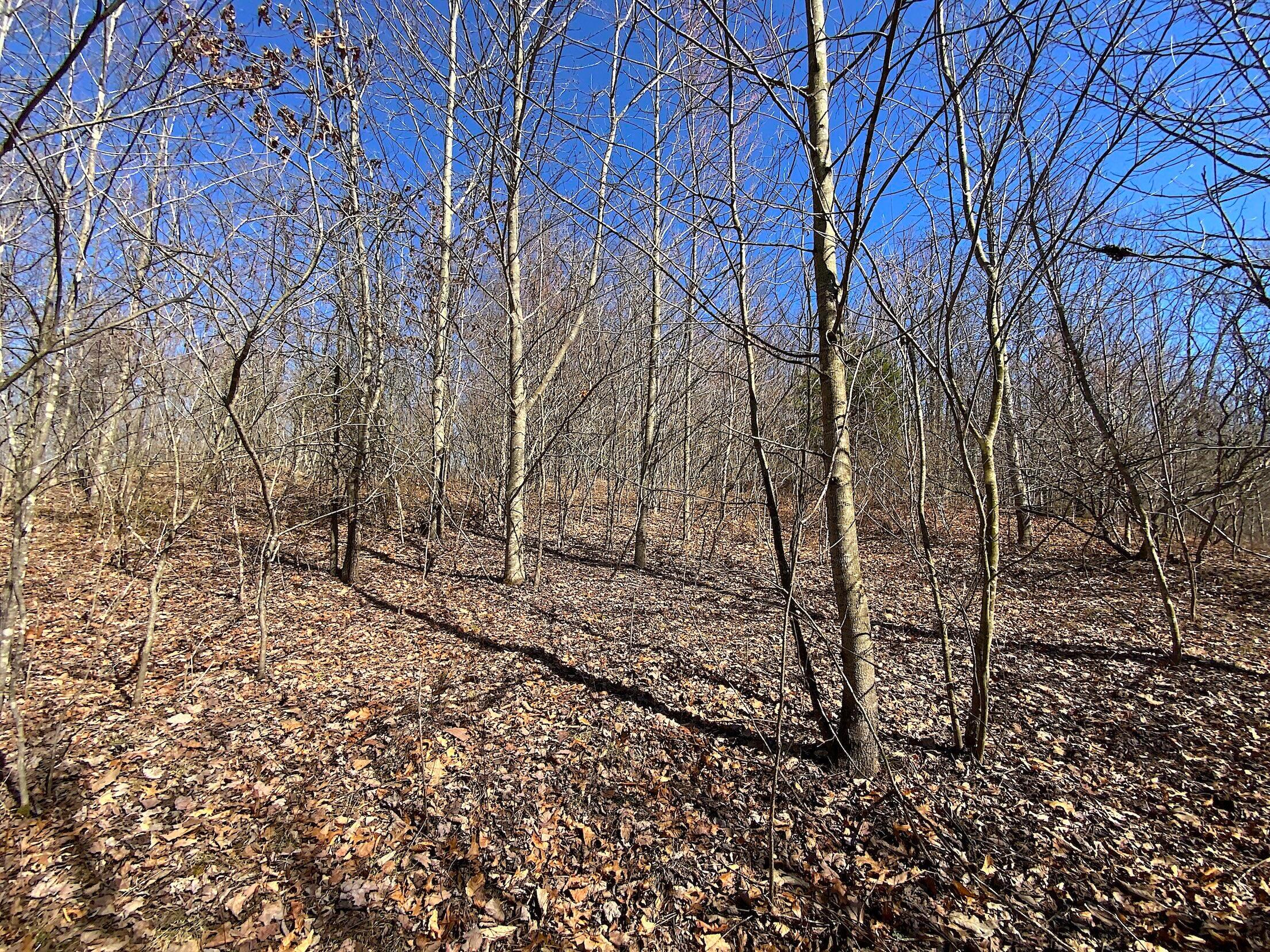 Kelly Road, Ray, Ohio image 2