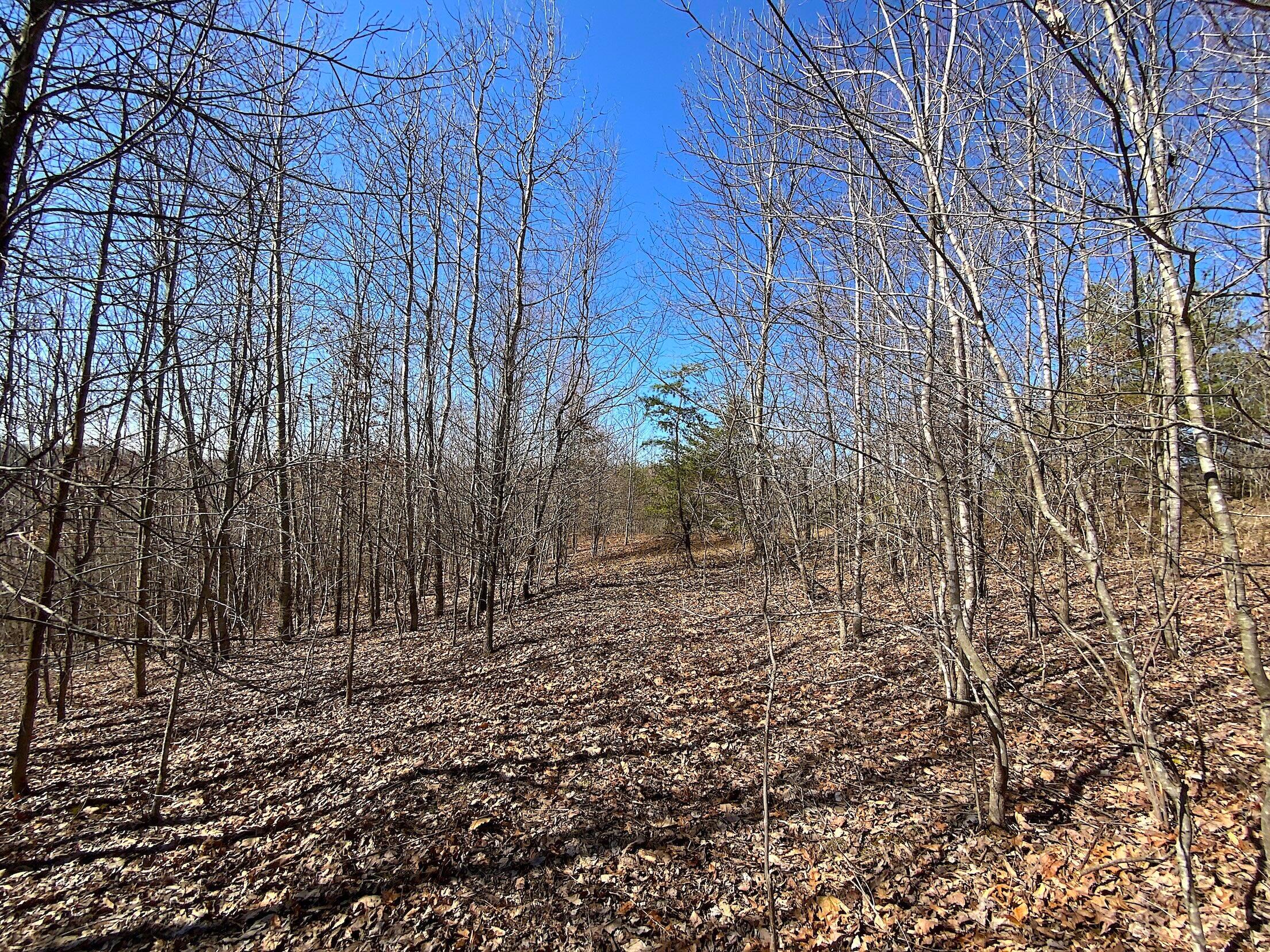 Kelly Road, Ray, Ohio image 3