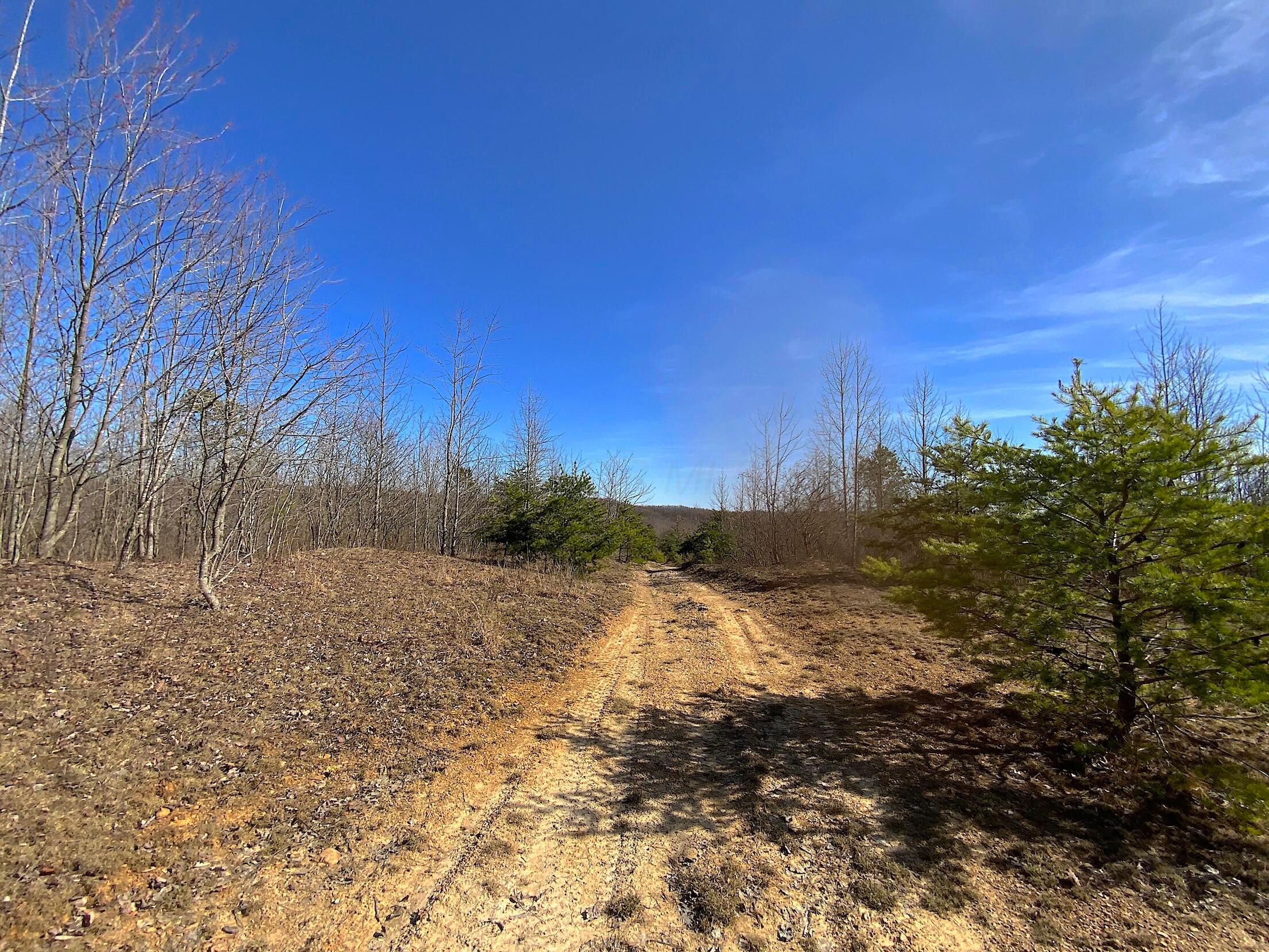 Kelly Road, Ray, Ohio image 22