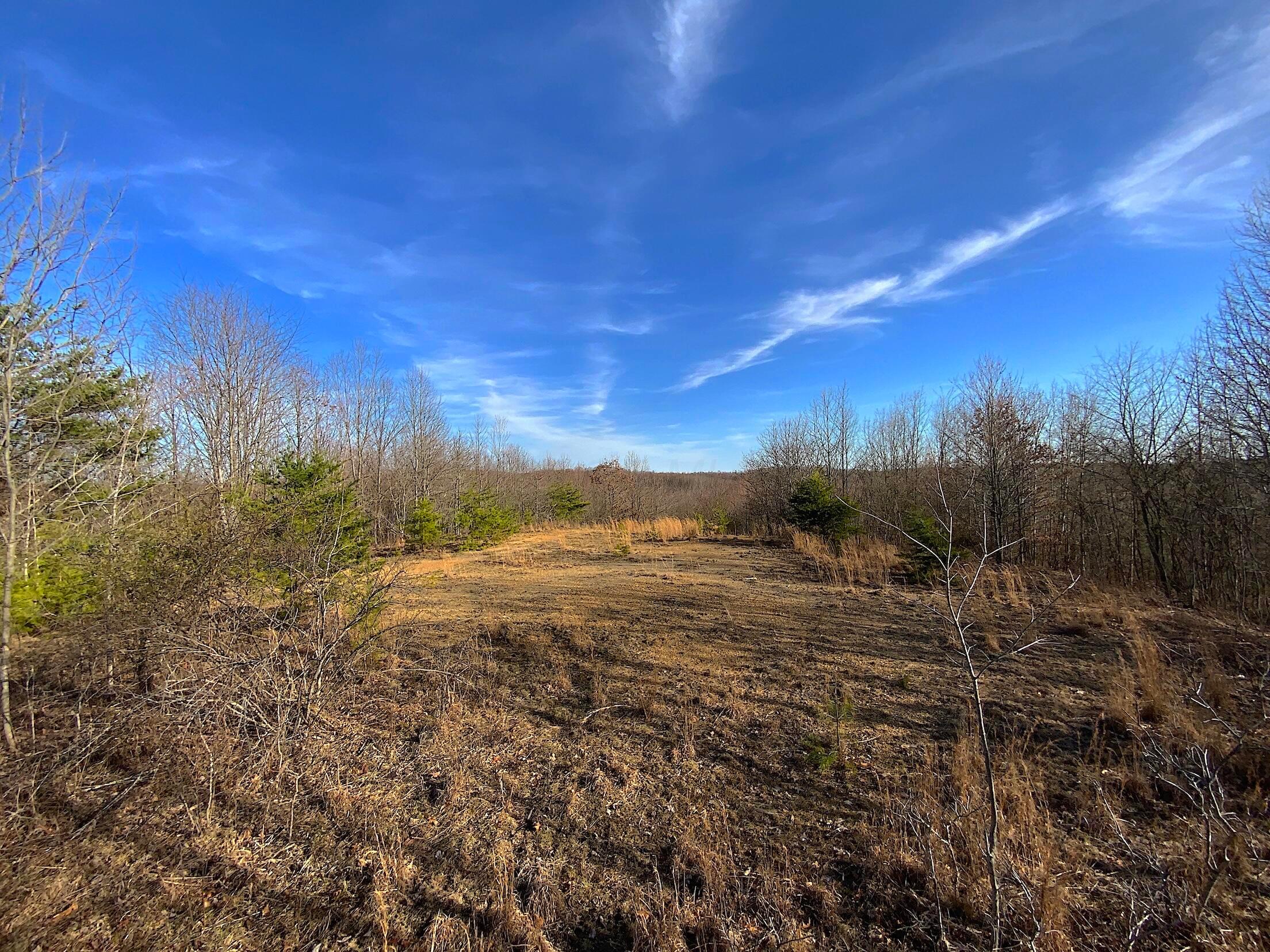 Kelly Road, Ray, Ohio image 42