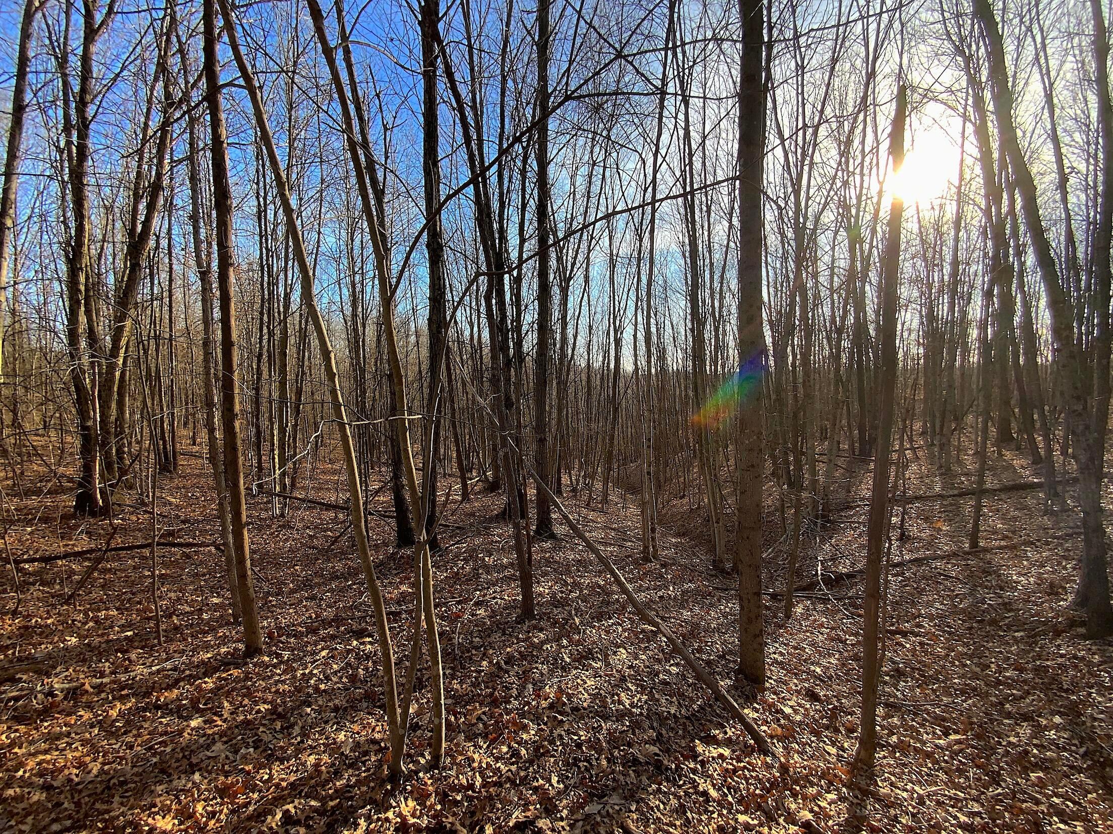 Kelly Road, Ray, Ohio image 44