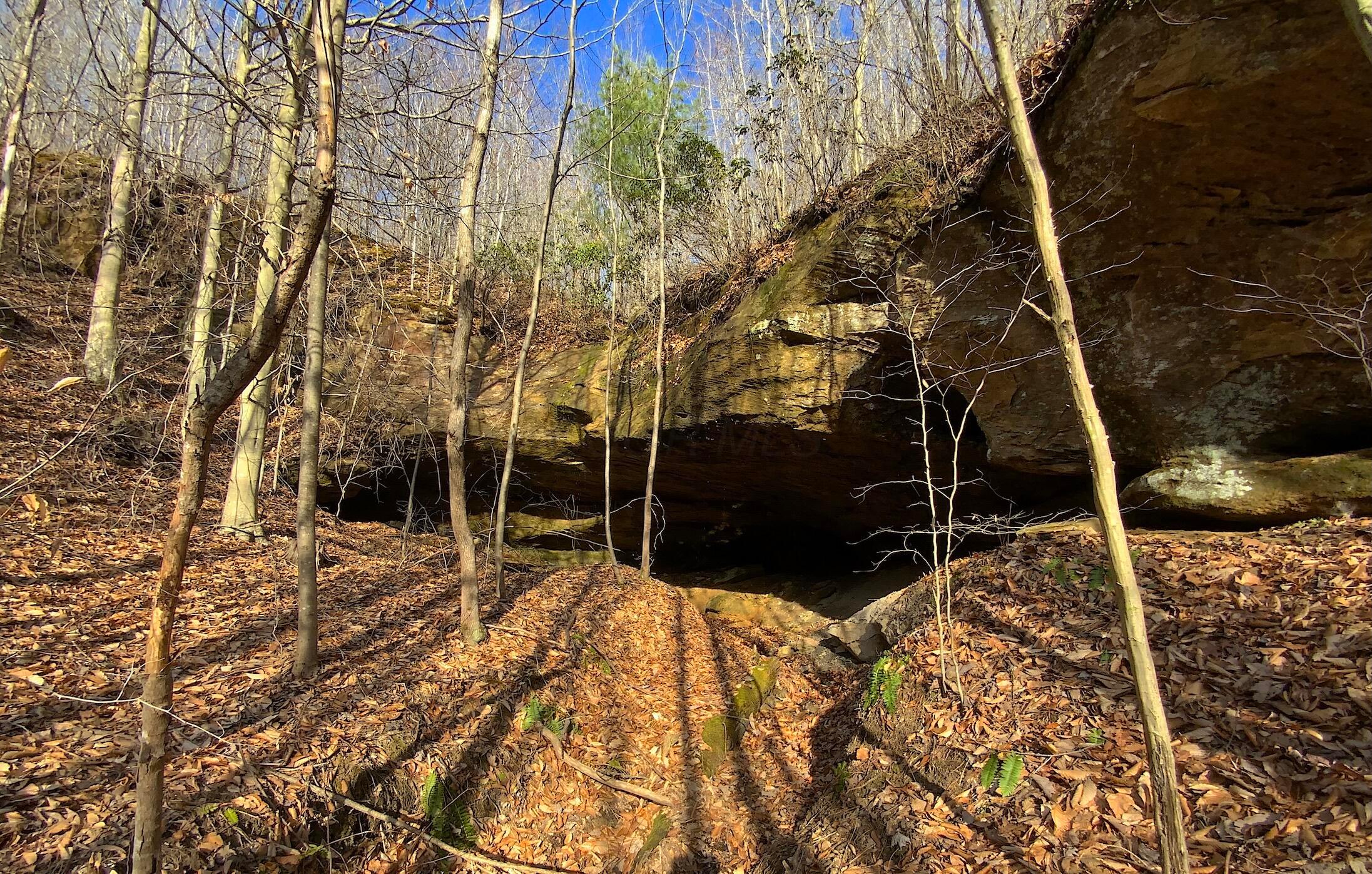Kelly Road, Ray, Ohio image 38