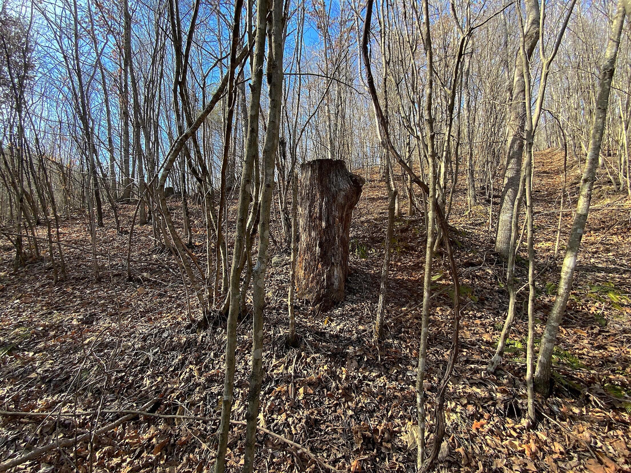 Kelly Road, Ray, Ohio image 30